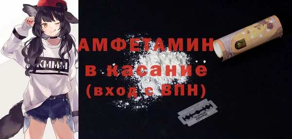 гидра Бородино
