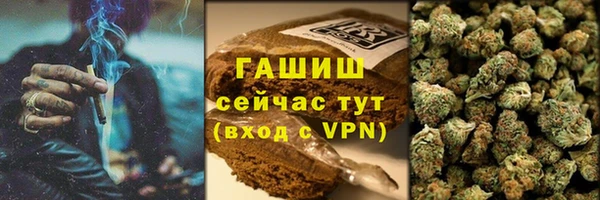 гидра Бородино