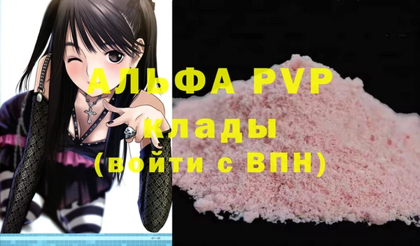 гидра Бородино