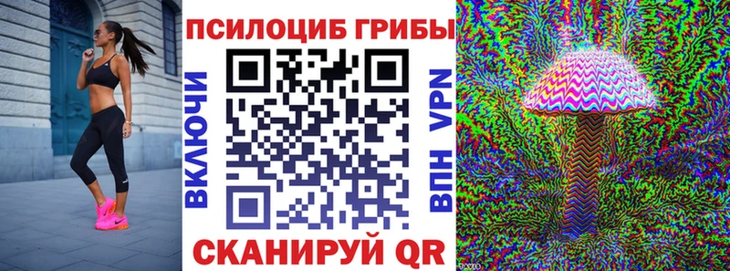 купить наркоту  Елабуга  Галлюциногенные грибы Psilocybine cubensis 